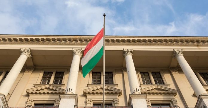 Ексдипломат України в Угорщині оскаржив депортацію і попросився до Росії