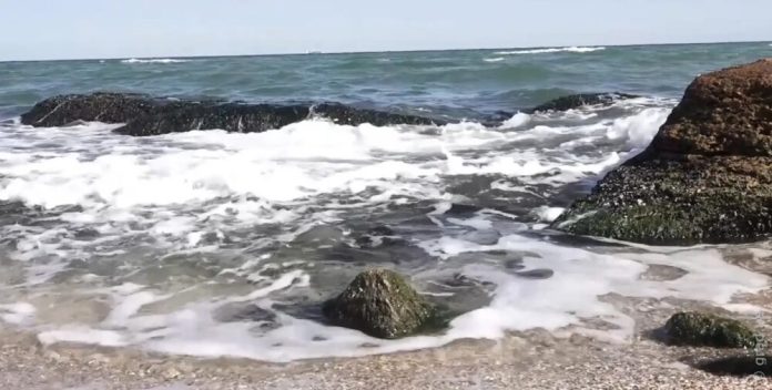 Українські вчені б’ють на сполох: екосистема Чорного моря опинилась під подвійною загрозою