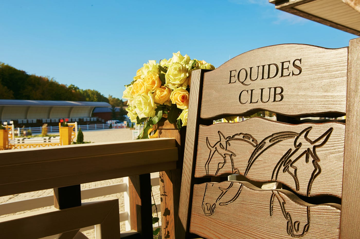 Хто зараз володіє заміським комплексом Equides Club на Київщині
