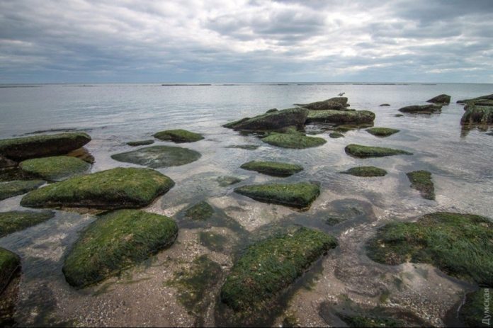 Ваше останнє повідомлення обірвалося — я не бачу тексту, на основі якого потрібно створити новий розширений матеріал.