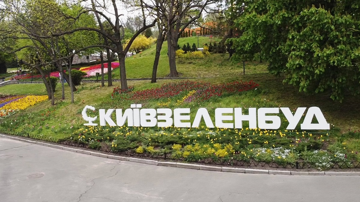 Службова недбалість у “Київзеленбуді”: слідство заявляє про мільйонні збитки
