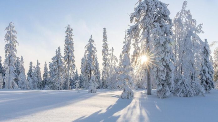 6 лютого — день пам’яті преподобного Вукола, єпископа Смирнського