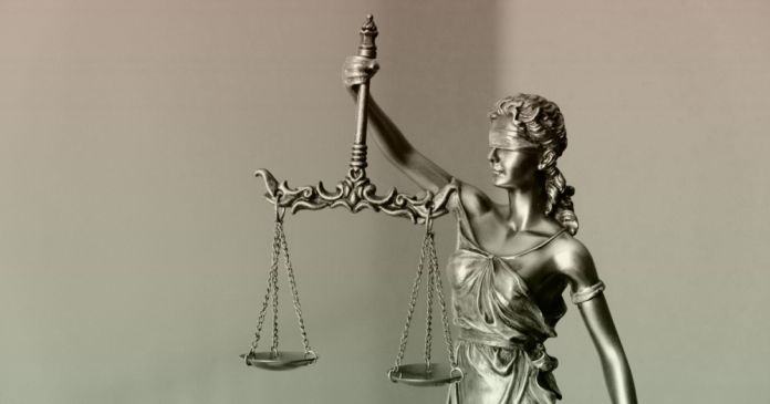 Справу про незаконне використання лісових земель в Закарпатті передали до суду