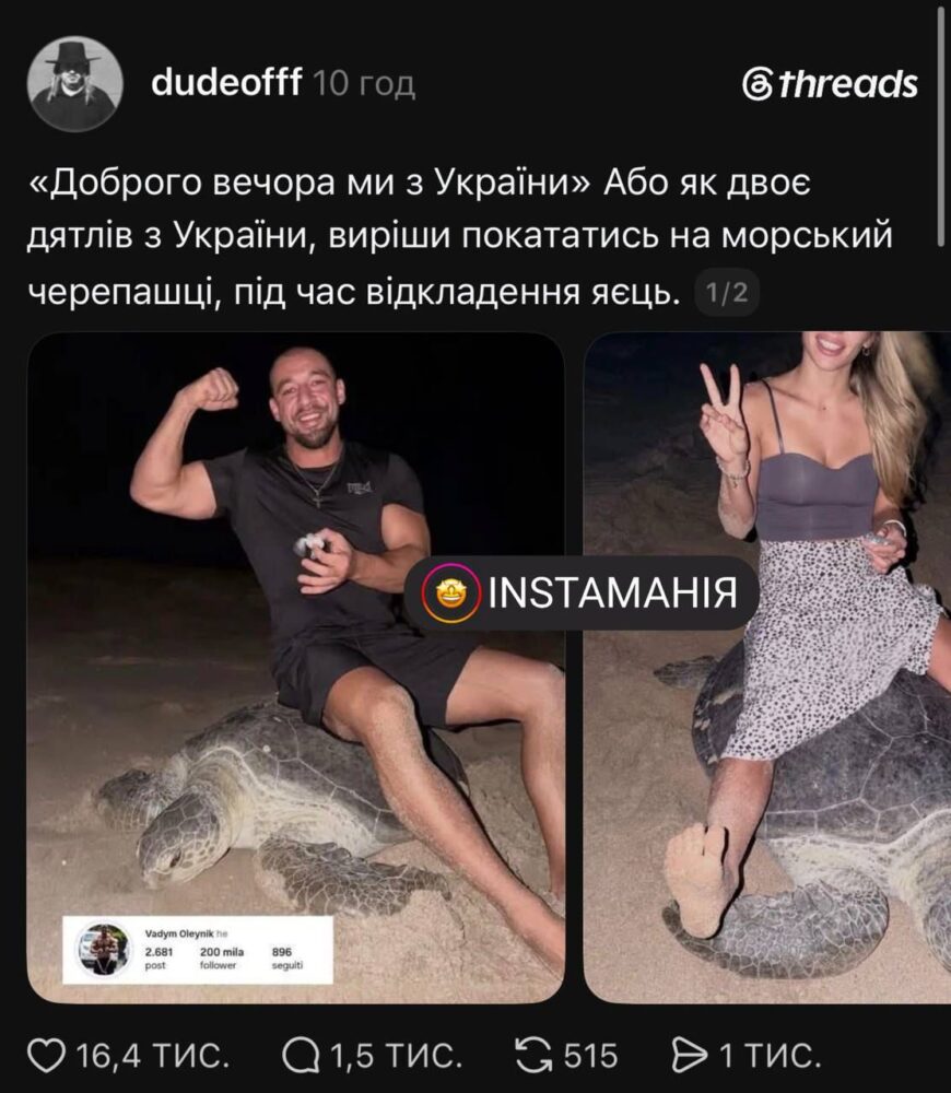 Українців розкритикували за відео з черепахою в Омані